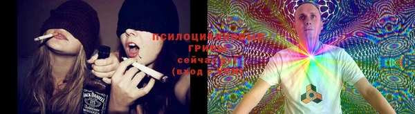дживик Балабаново