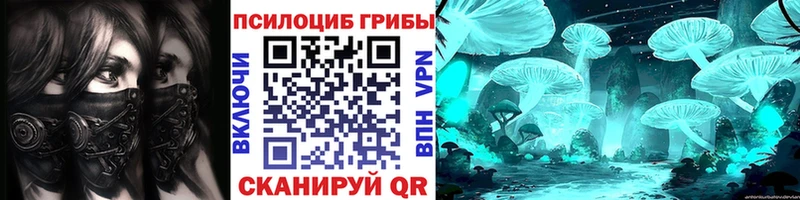 площадка формула  Волхов  Галлюциногенные грибы мицелий 