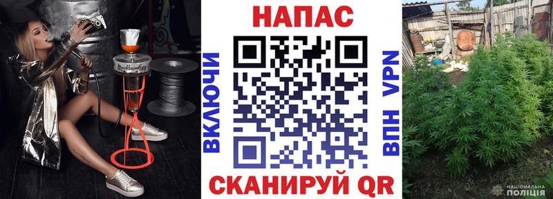 Конопля OG Kush  KRAKEN зеркало  Волхов 